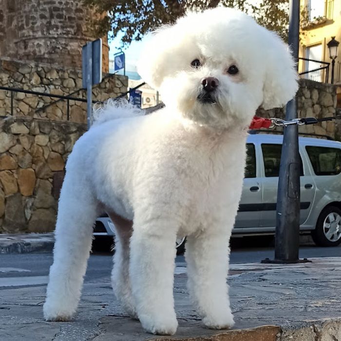 Ponme Guapo