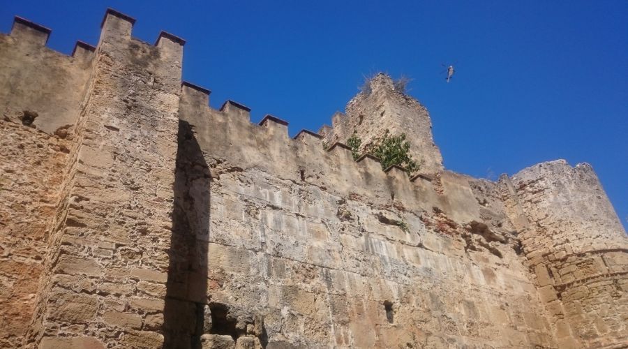 Historia de la Ciudad