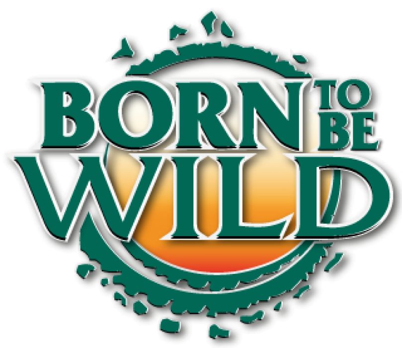 Born To Be Wild