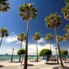 Ruta fotográfica de Marbella