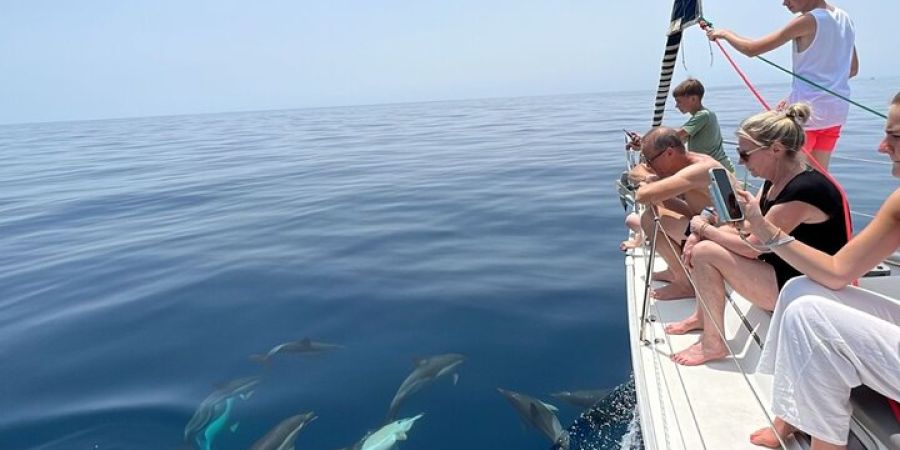 Avistamiento de delfines