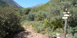 Vereda del Faro