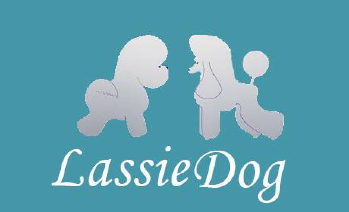 Lassiedog