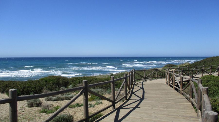 Dunas de Artola