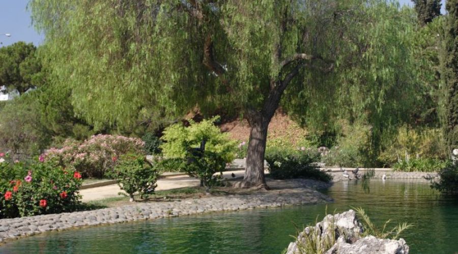 Jardines y Puente de la Represa