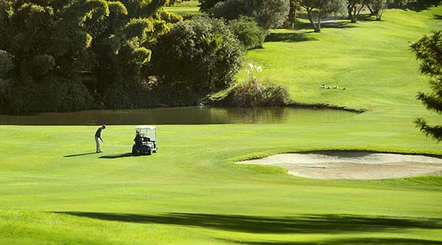 Club de Golf Aloha