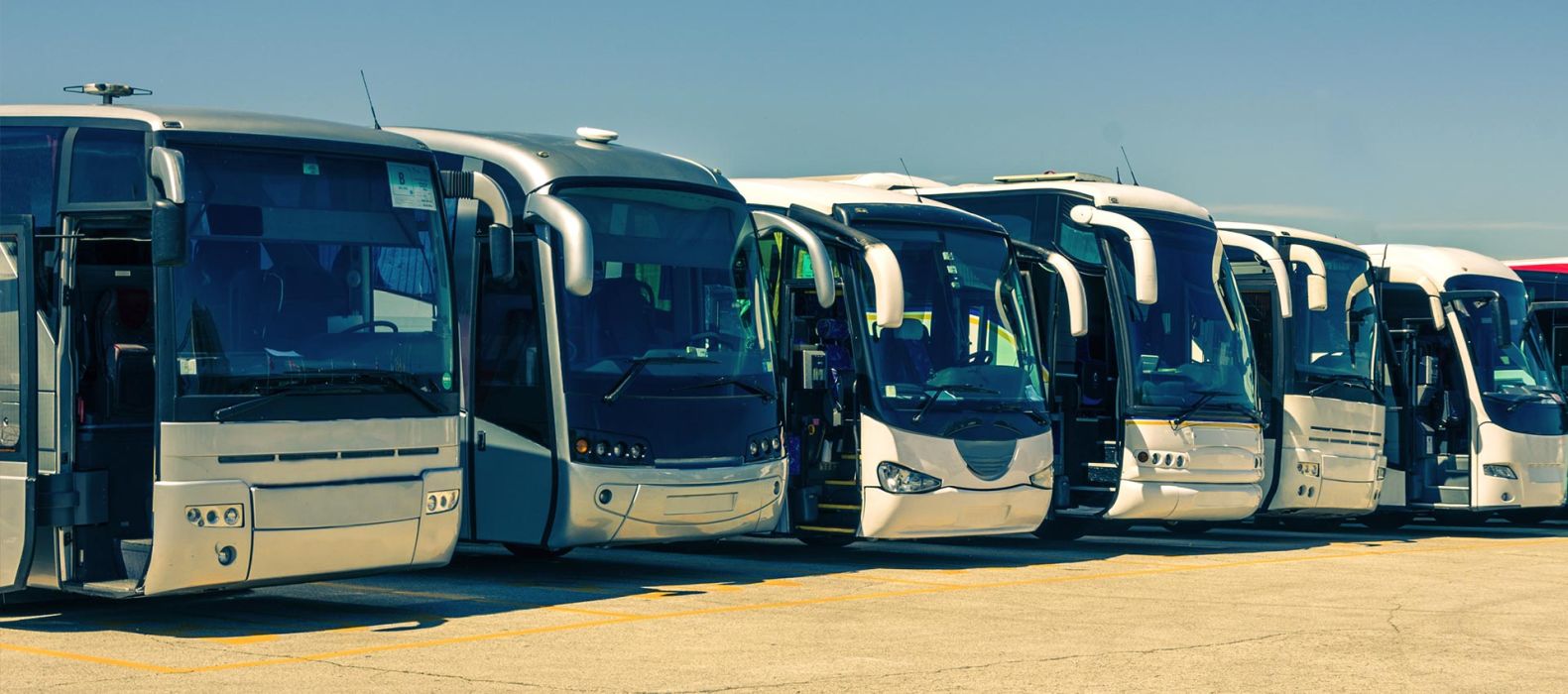 Autobuses
