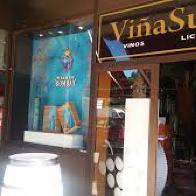 Viñasur Vinos y Licores