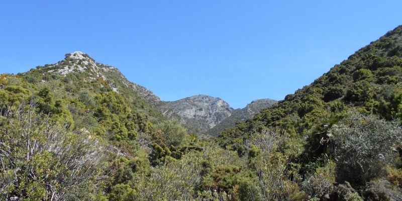 Istán - Ojén (PR-A 167)