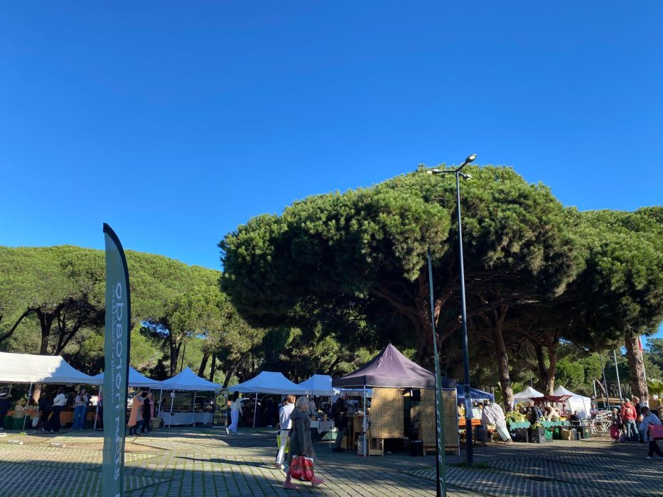 Mercadillo Ecológico