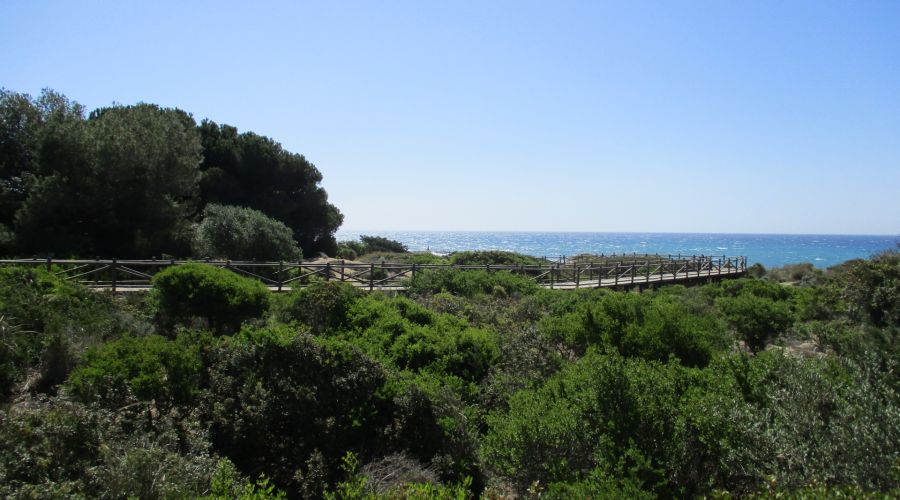 Dunas de Artola