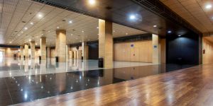 Entrada Pre-hall