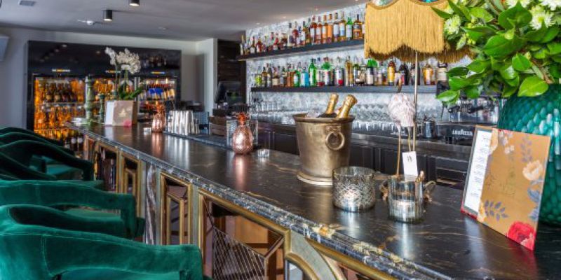 Monkey Club Marbella