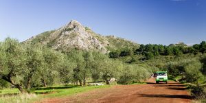 Pico de Juanar