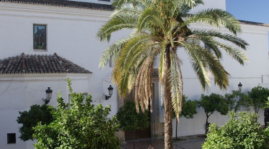 Iglesia de Ntra. Sra. de la Encarnación