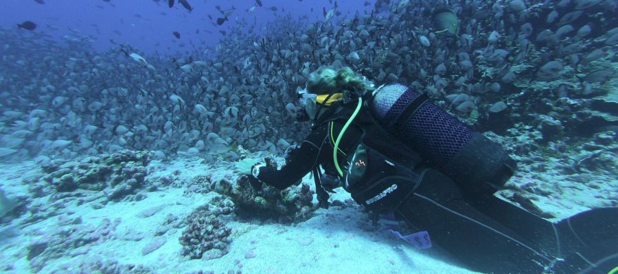 Zonas de submarinismo