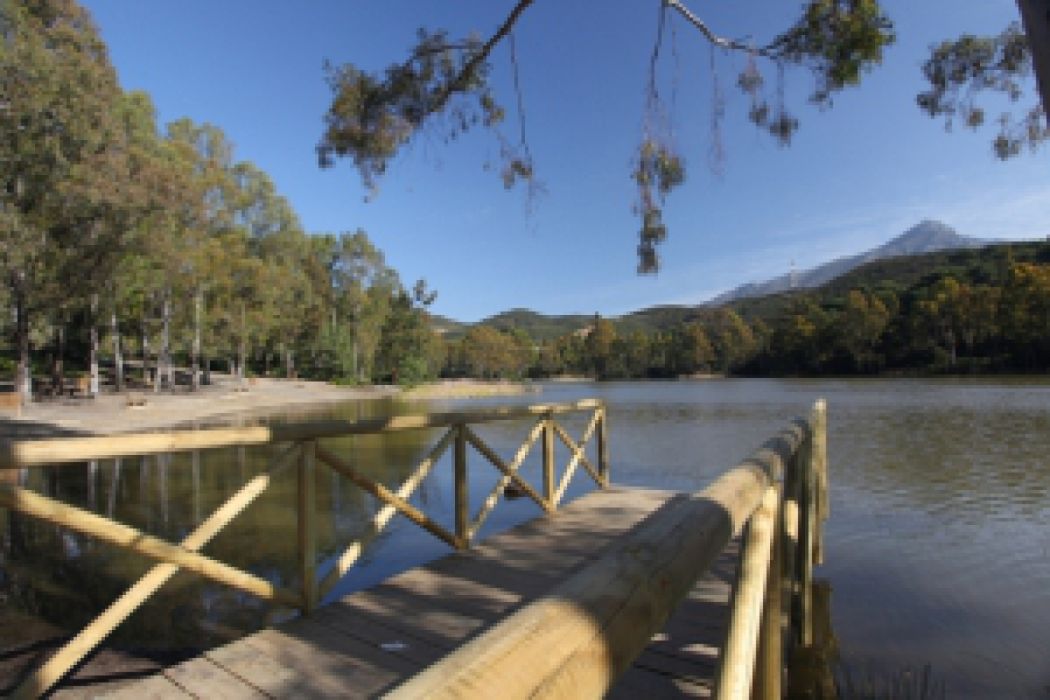 Lago de las Tortugas