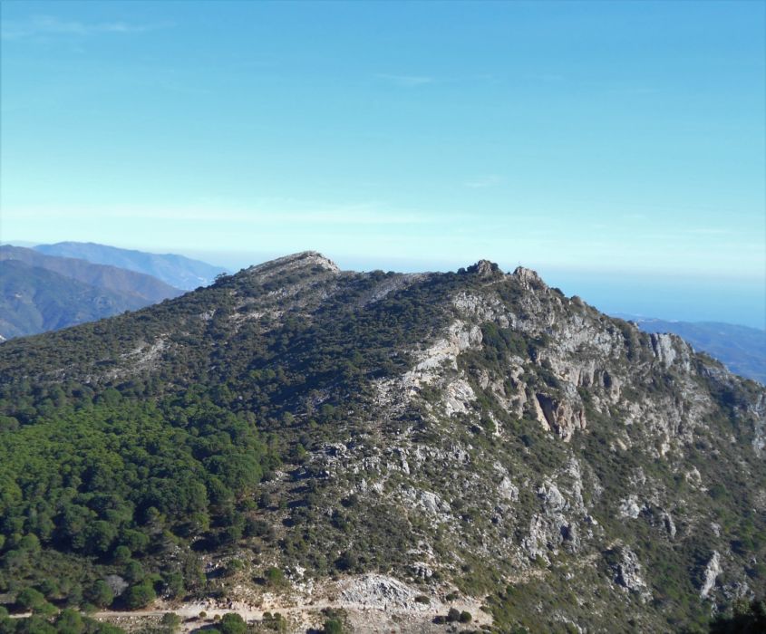 Tajo Negro