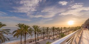 Terraza Plaza del Mar