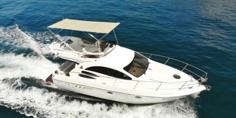 Amare Charter