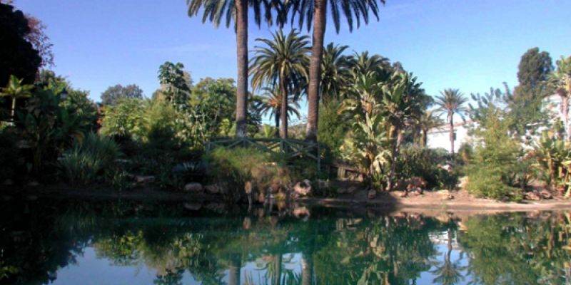 Jardín El Ángel