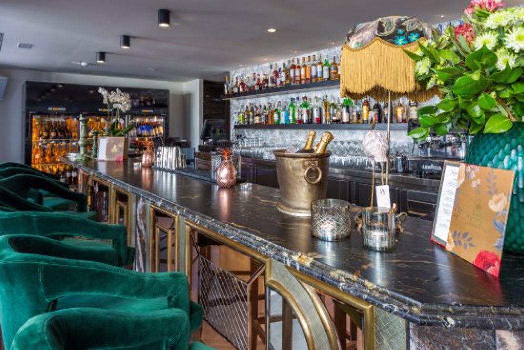 Monkey Club Marbella