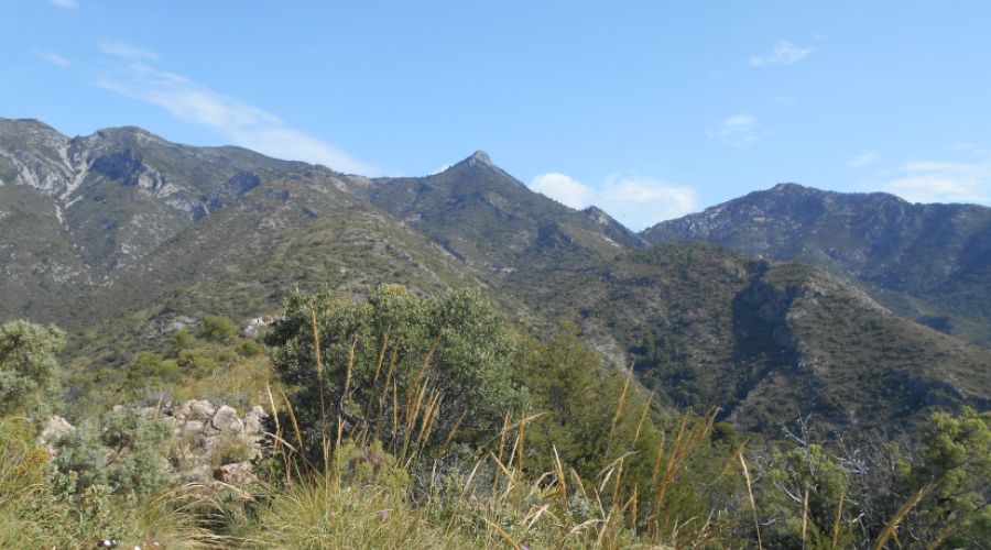 Vereda - Faro