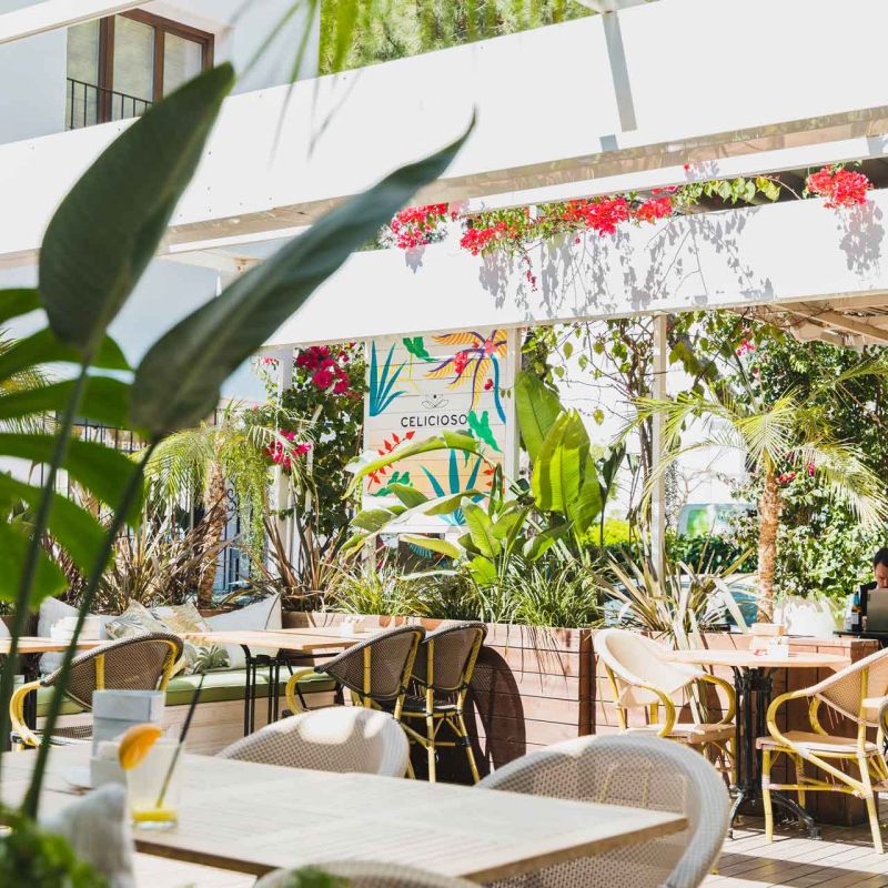 Celicioso
