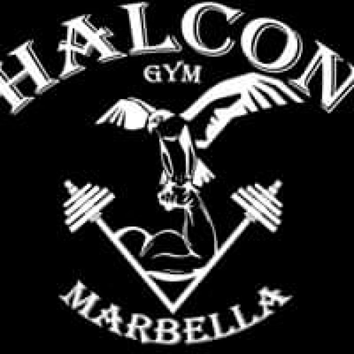 Halcón Gym Marbella