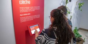 Museo Ralli